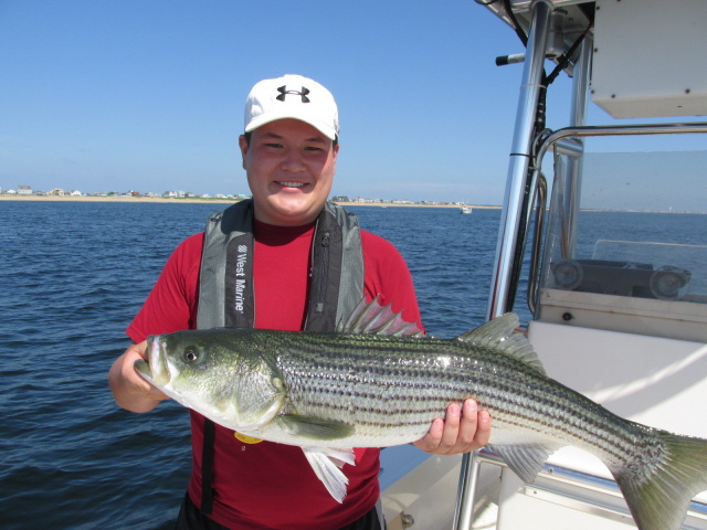 Charter fishing Merrimack River, Newburyport MA